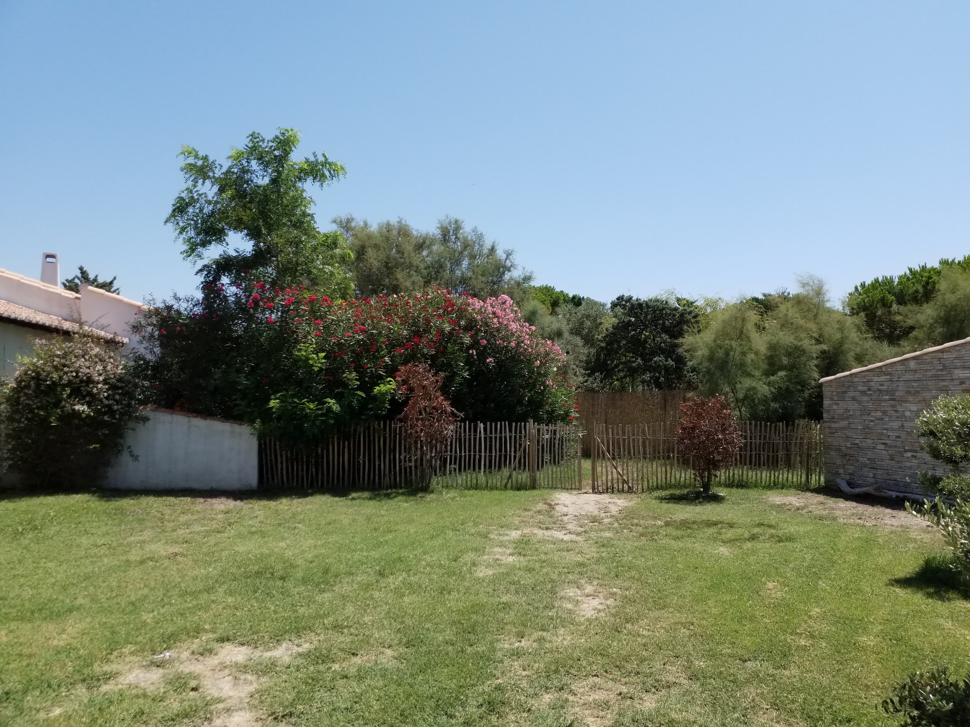 Jardin Arboré